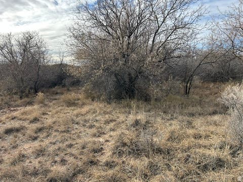 Tiny photo for Roosevelt, UT 84066 (MLS # 2167763)