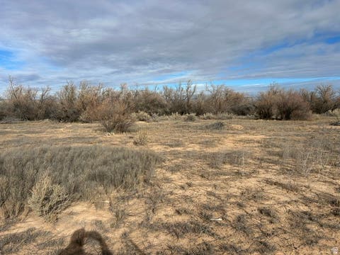 Tiny photo for Roosevelt, UT 84066 (MLS # 2167763)
