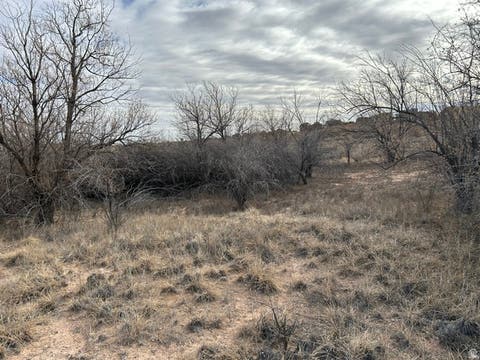Tiny photo for Roosevelt, UT 84066 (MLS # 2167763)