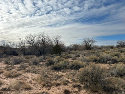Tiny photo for Roosevelt, UT 84066 (MLS # 2167763)