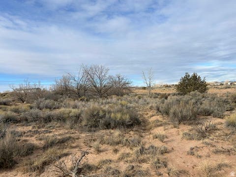 Tiny photo for Roosevelt, UT 84066 (MLS # 2167763)
