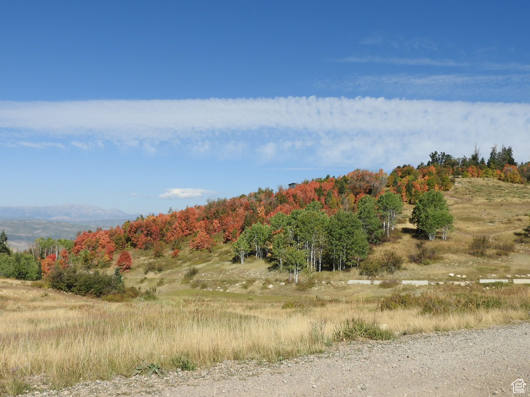 SKYLINE MTN. RESORT - Land