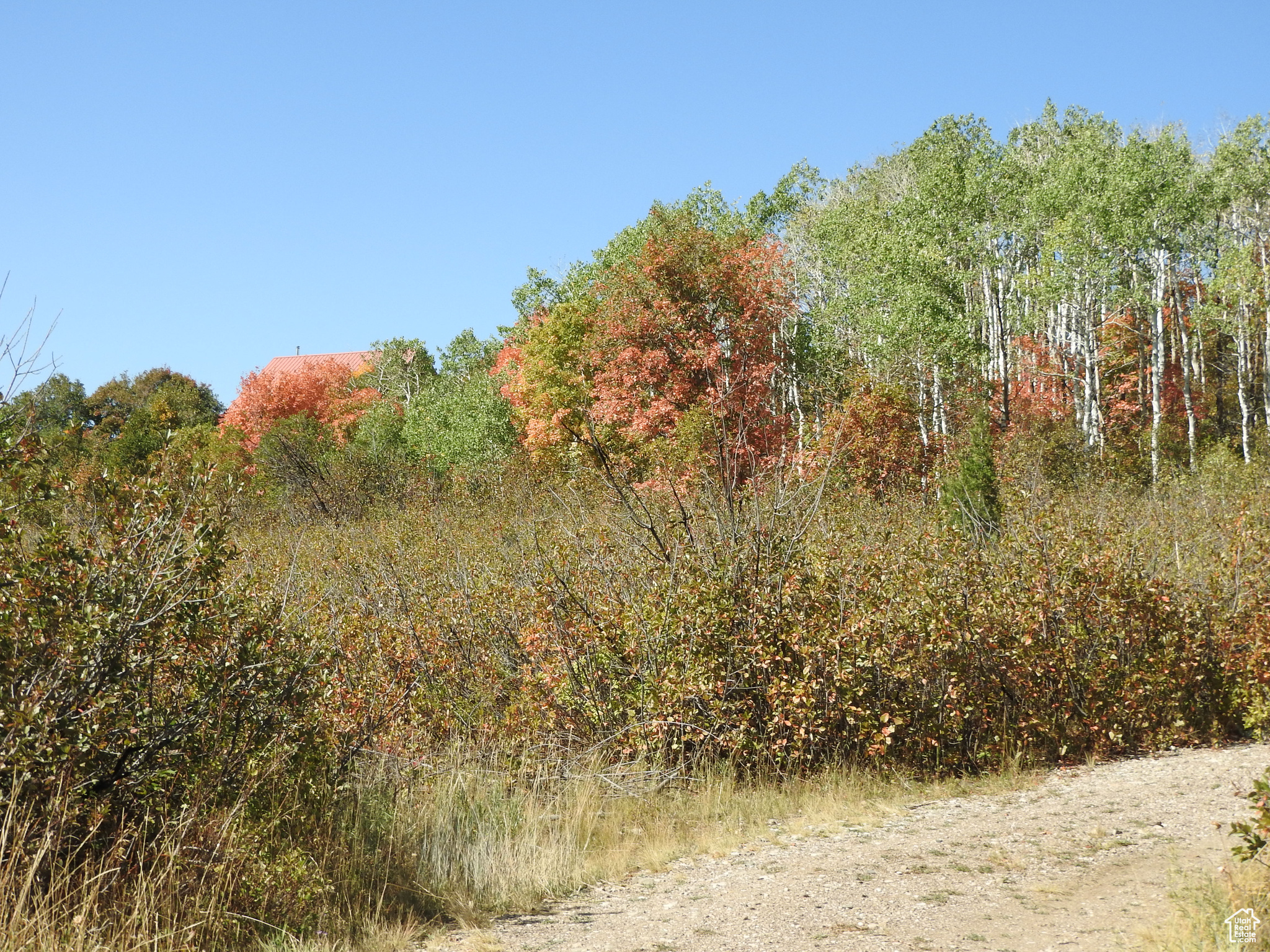 SKYLINE MTN. RESORT - Land