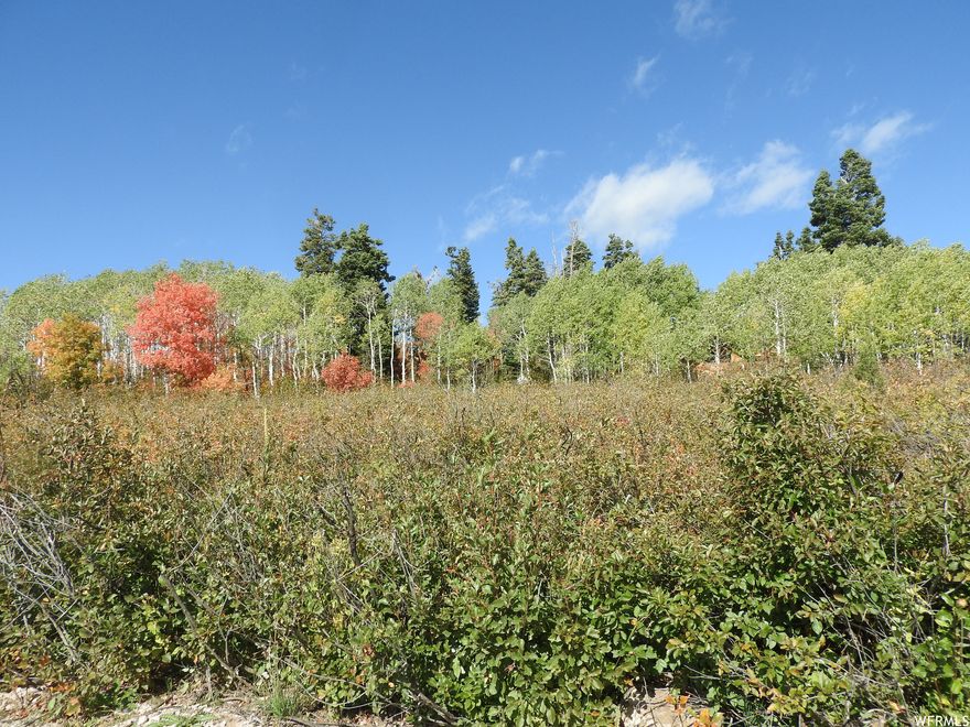 PRICE REDUCED!! You're sitting on top of the world! What a beautiful location for a cabin or camping area in the Skyline Mountain Resort. Head up Juniper Drive until you see the information board/hang a right on Main Road Drive/go to the end and you will see the sign/heaven awaits. Buyer and buyer's agent to verify all information.