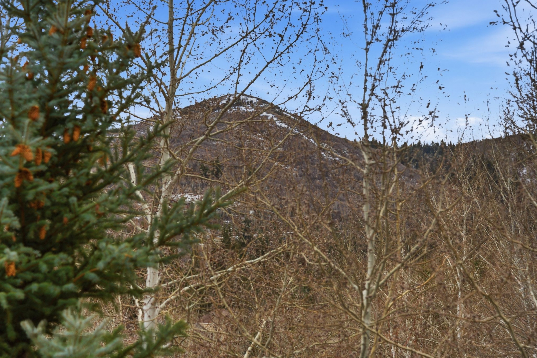 BOOT HILL SUBDIVISION - Residential