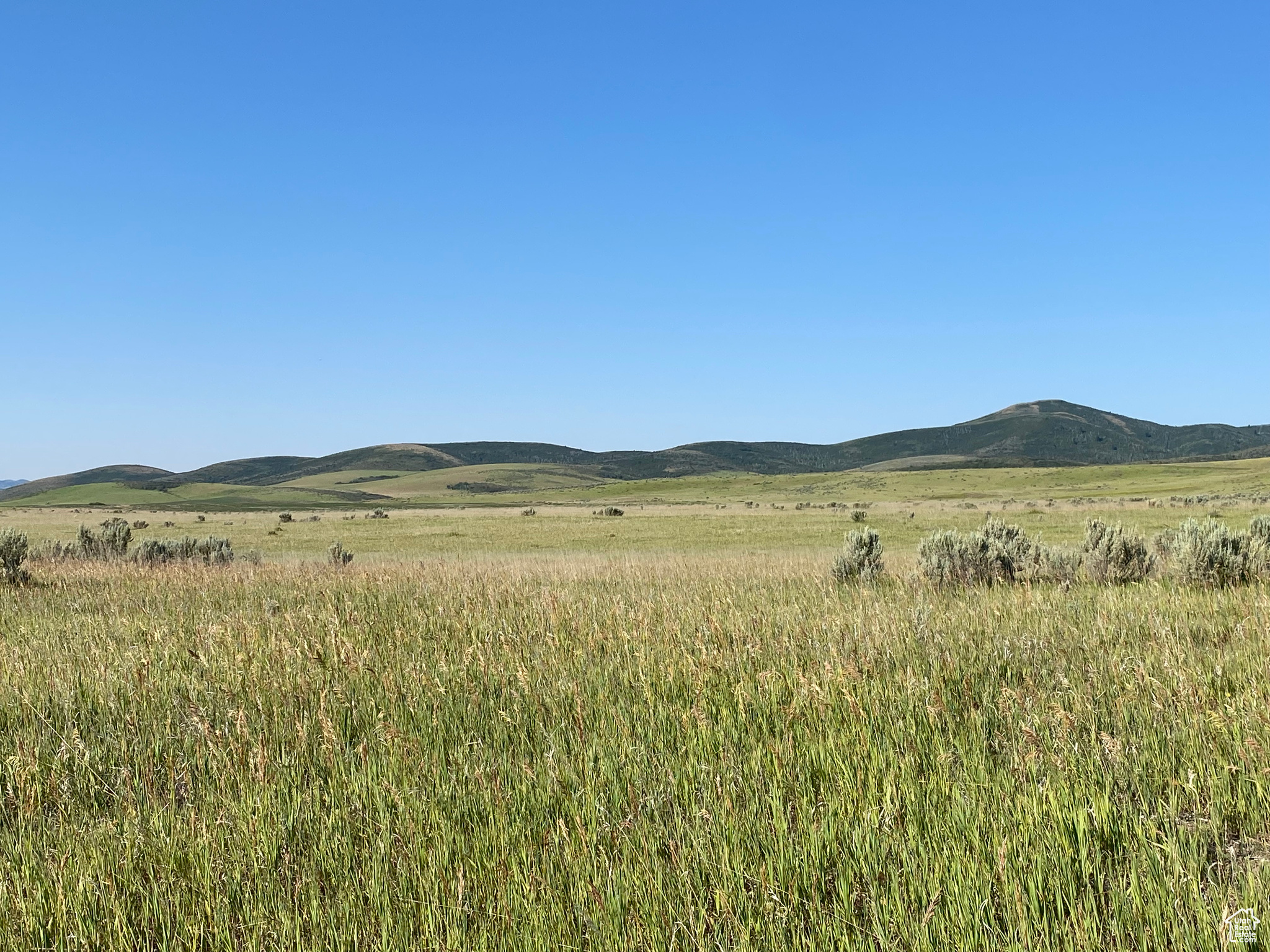 2835 N Cedar Mountain Rd, Fillmore, Utah image 9