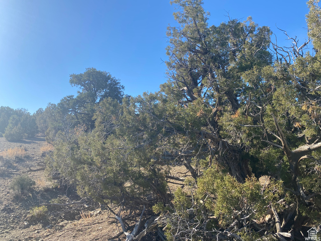 MOONDANCE RANCH - Residential