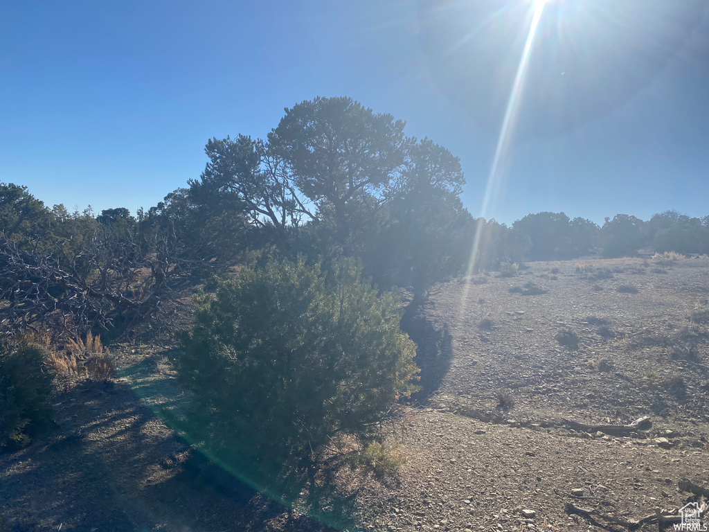 MOONDANCE RANCH - Residential