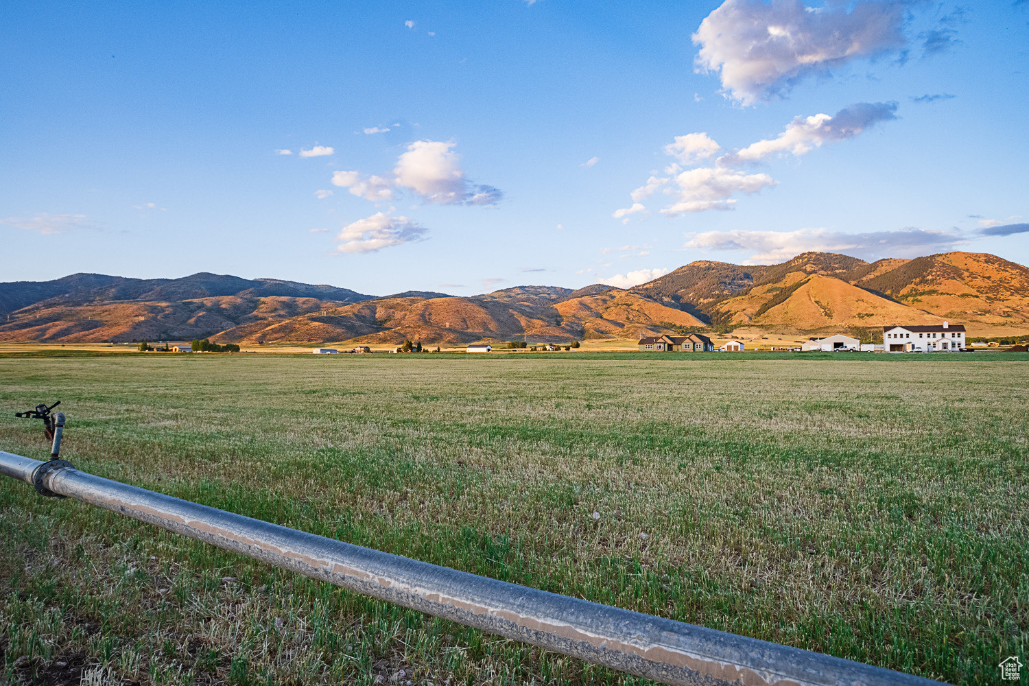 BALD MOUNTAIN ESTATE - Land