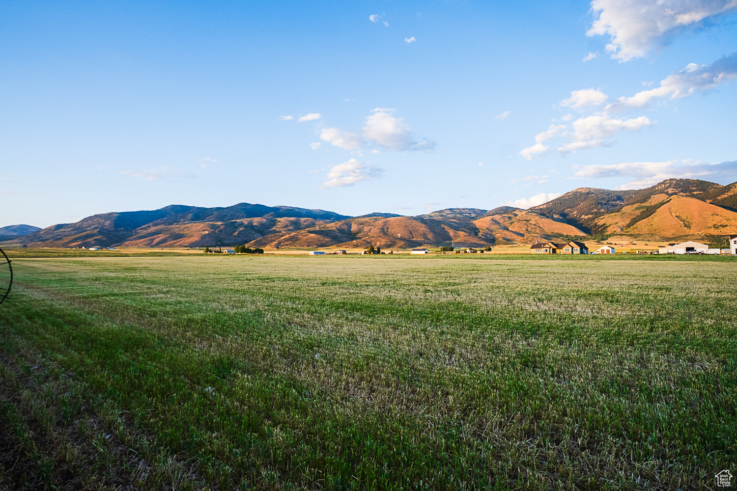 BALD MOUNTAIN ESTATE - Land