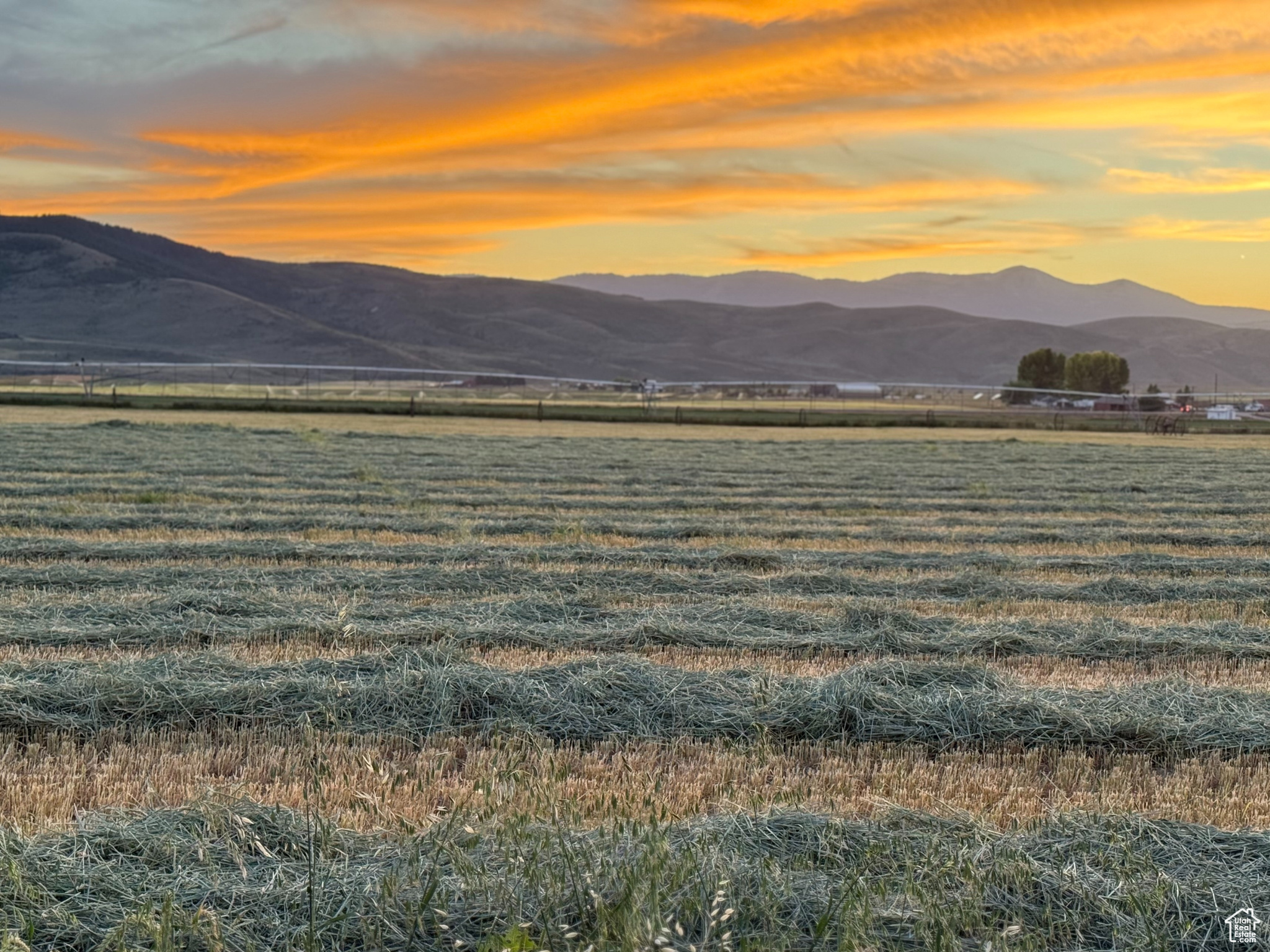 BALD MOUNTAIN ESTATE - Land