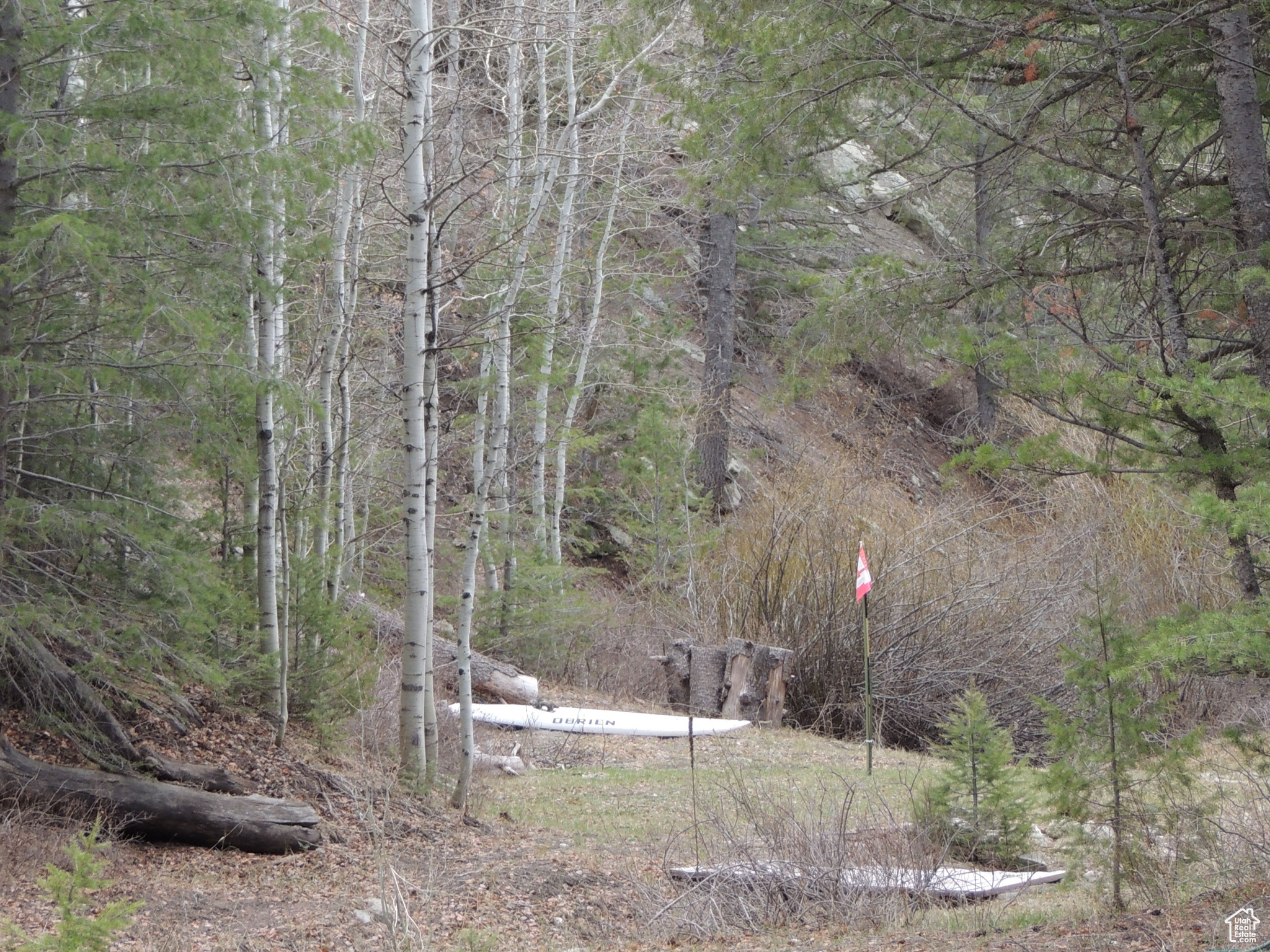 Land, Duchesne, Utah image 15