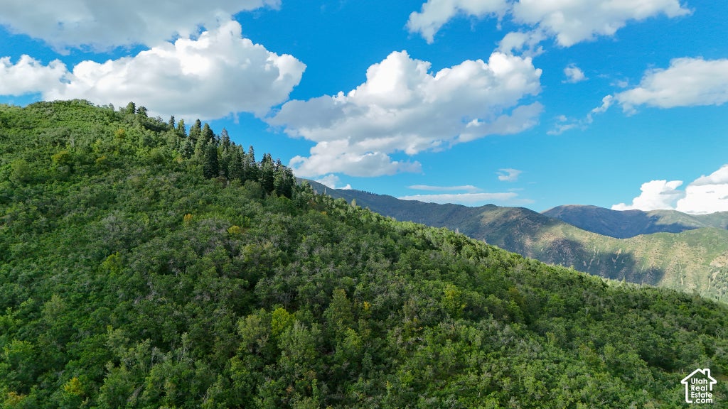 Photo of 114 OAKWOOD DR #114, Springville, UT 84663 (MLS # 2192526)