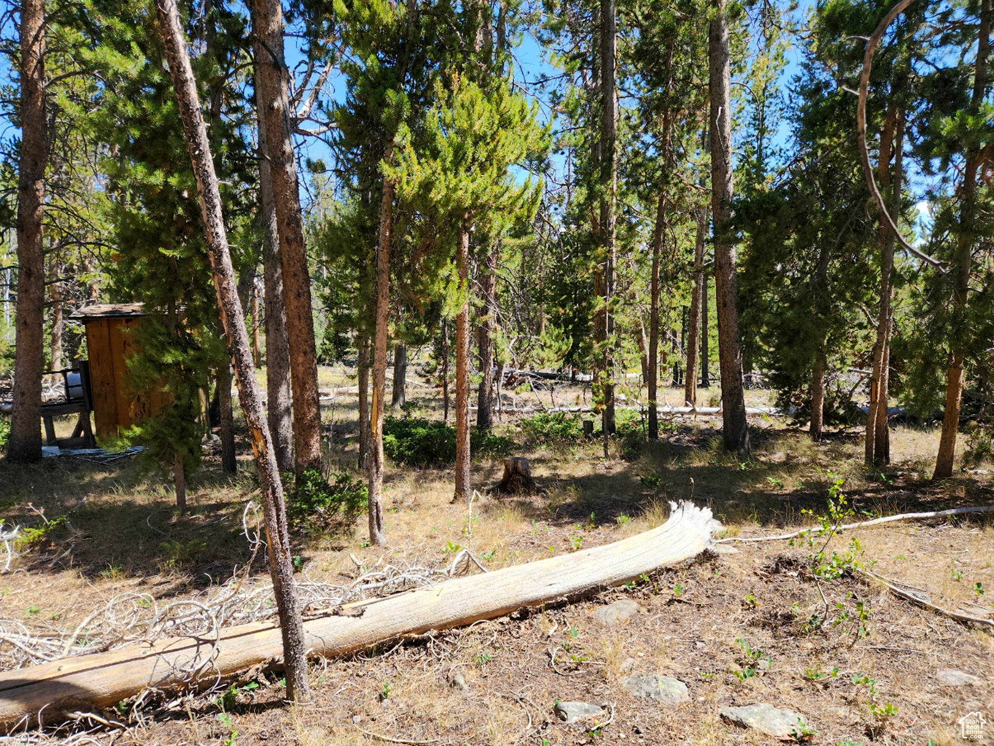 MANOR LANDS - Land