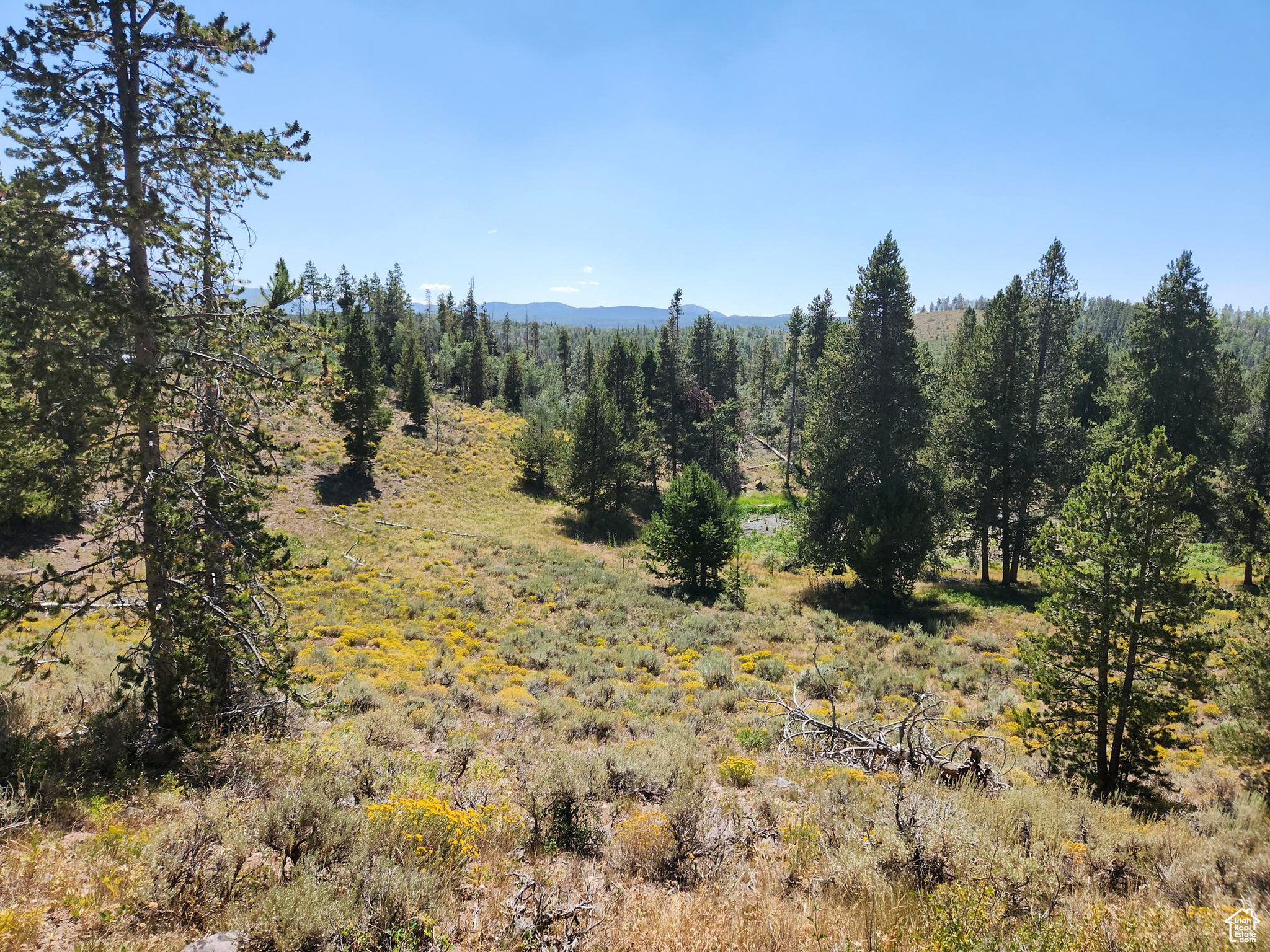 MANOR LANDS - Land
