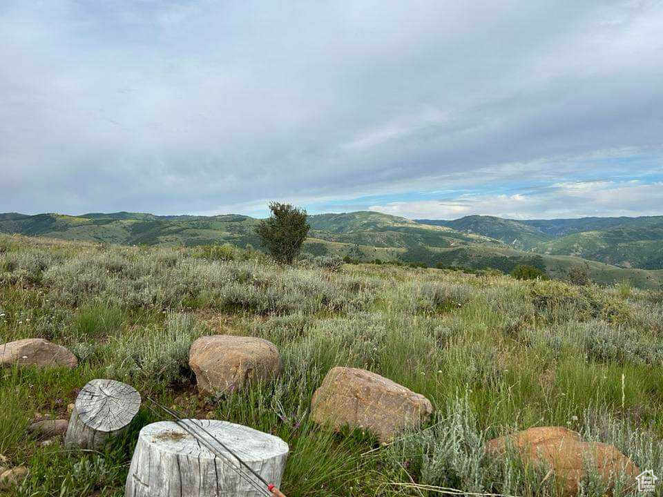 3128 N Oak Rd #504, Huntsville, Utah image 5