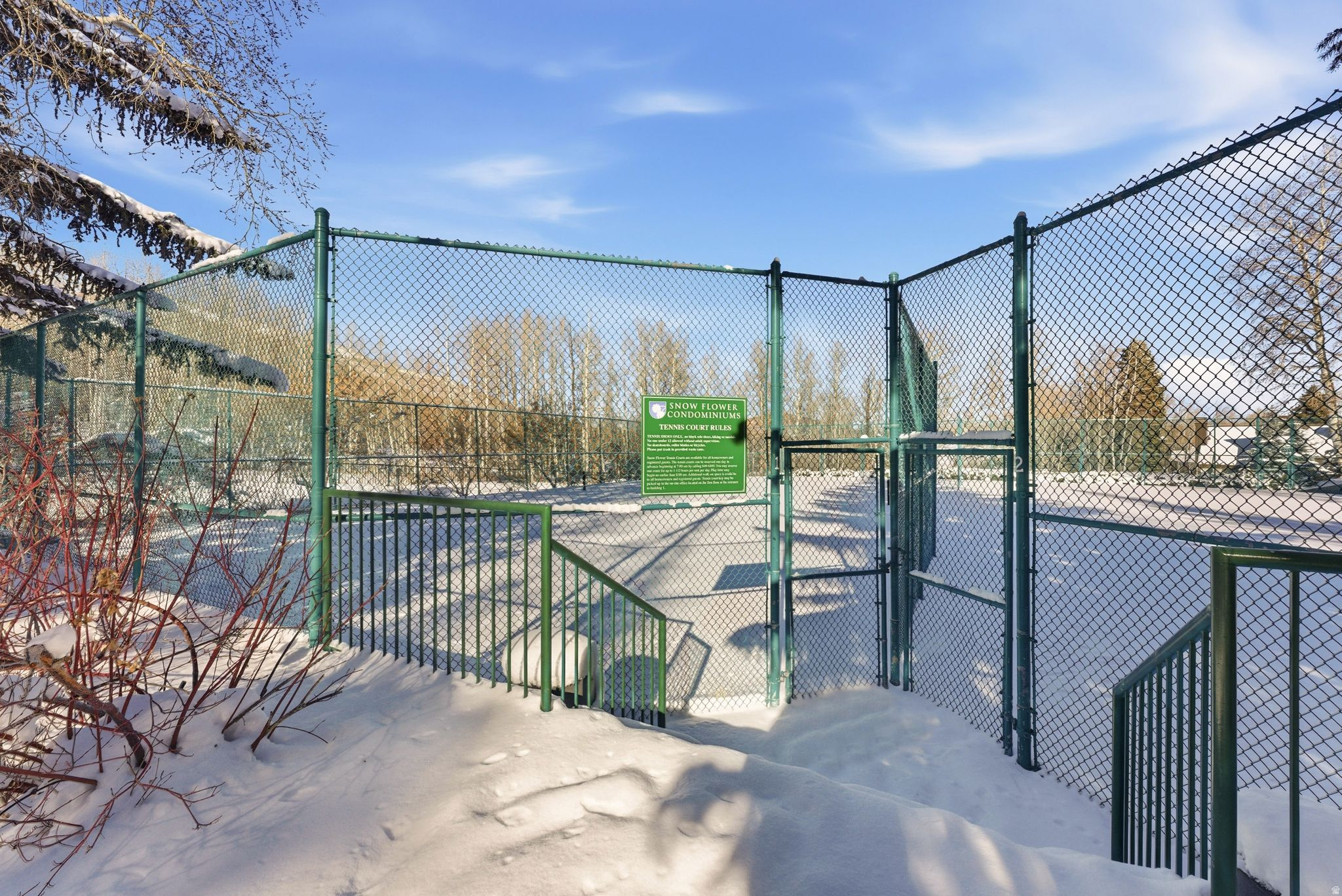 SNOWFLOWER - Residential