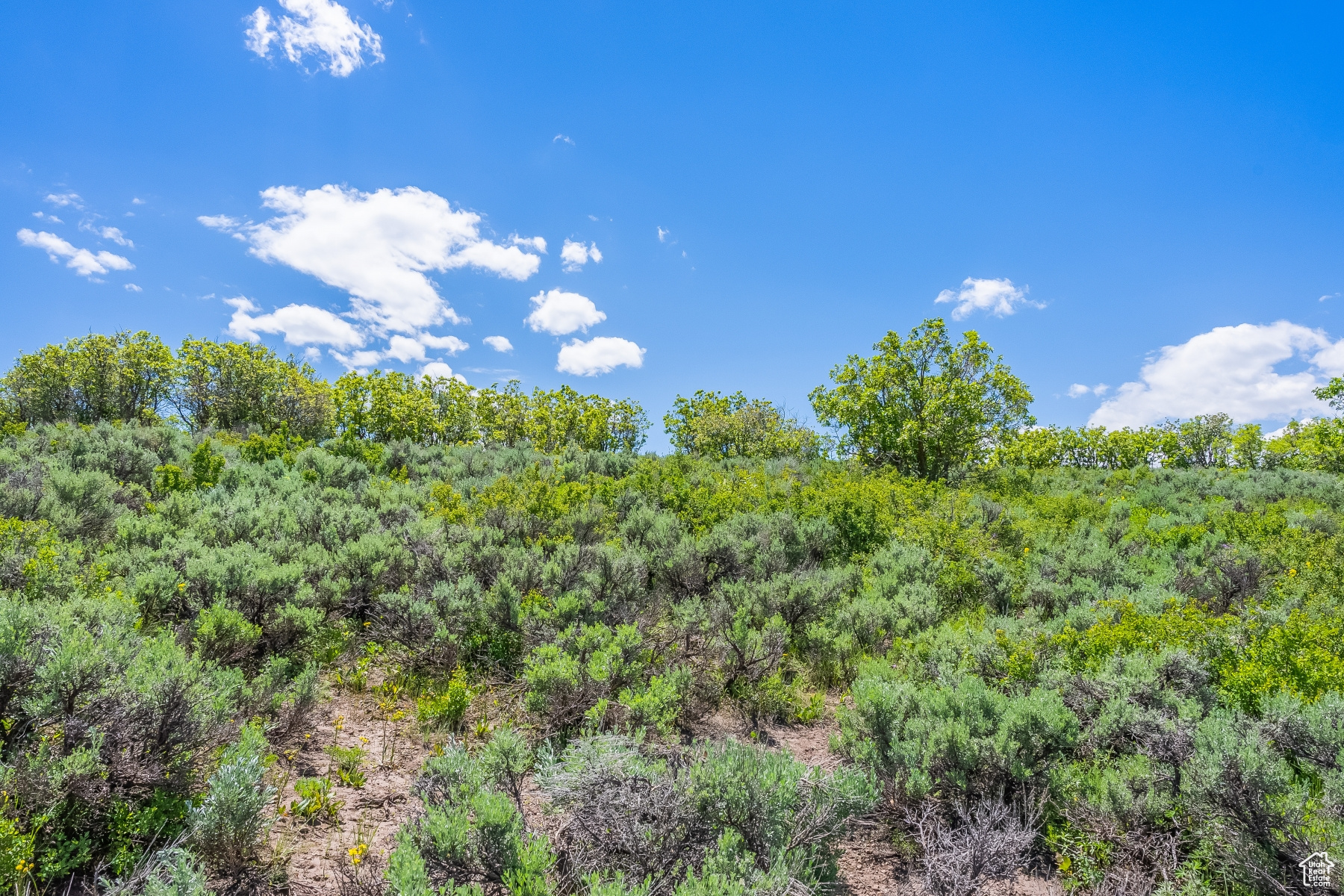 PINNACLE AT PROMONTORY - Land