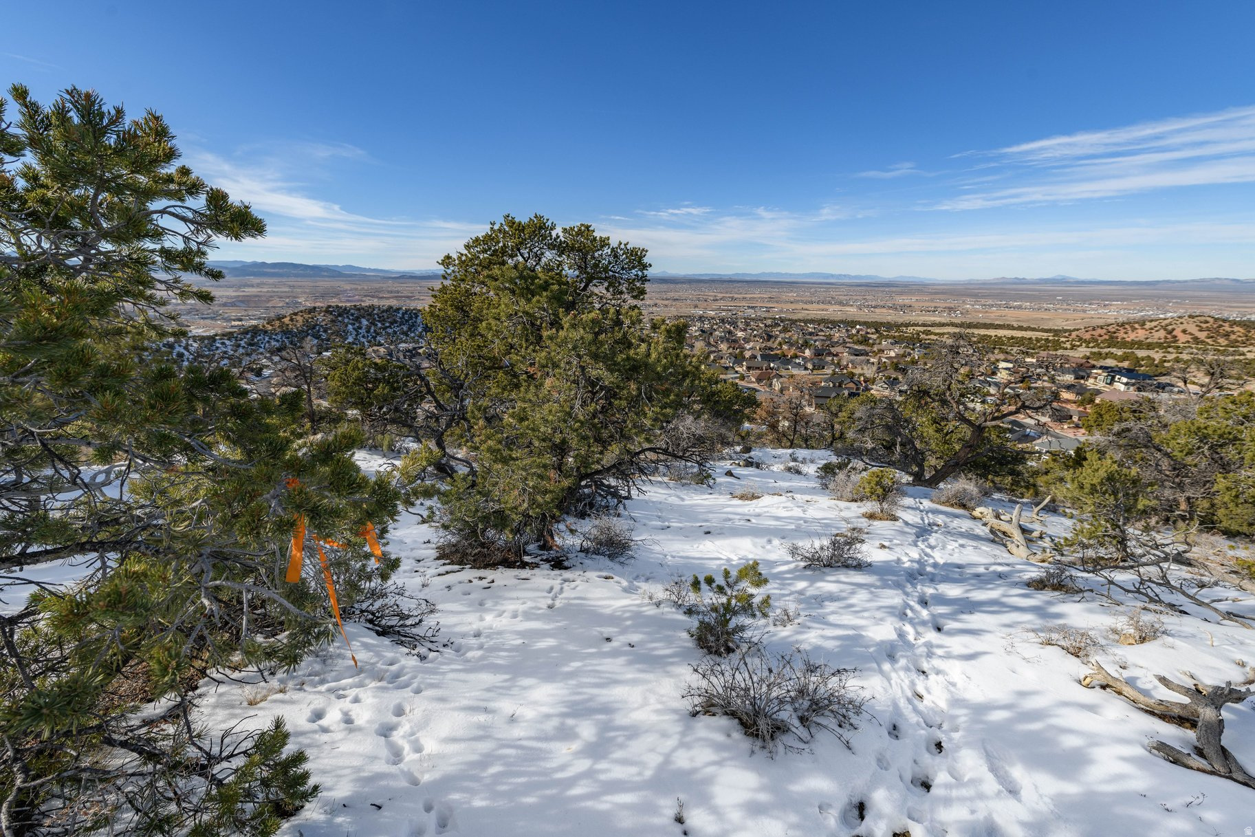 ASHDOWN FOREST PUD - Land