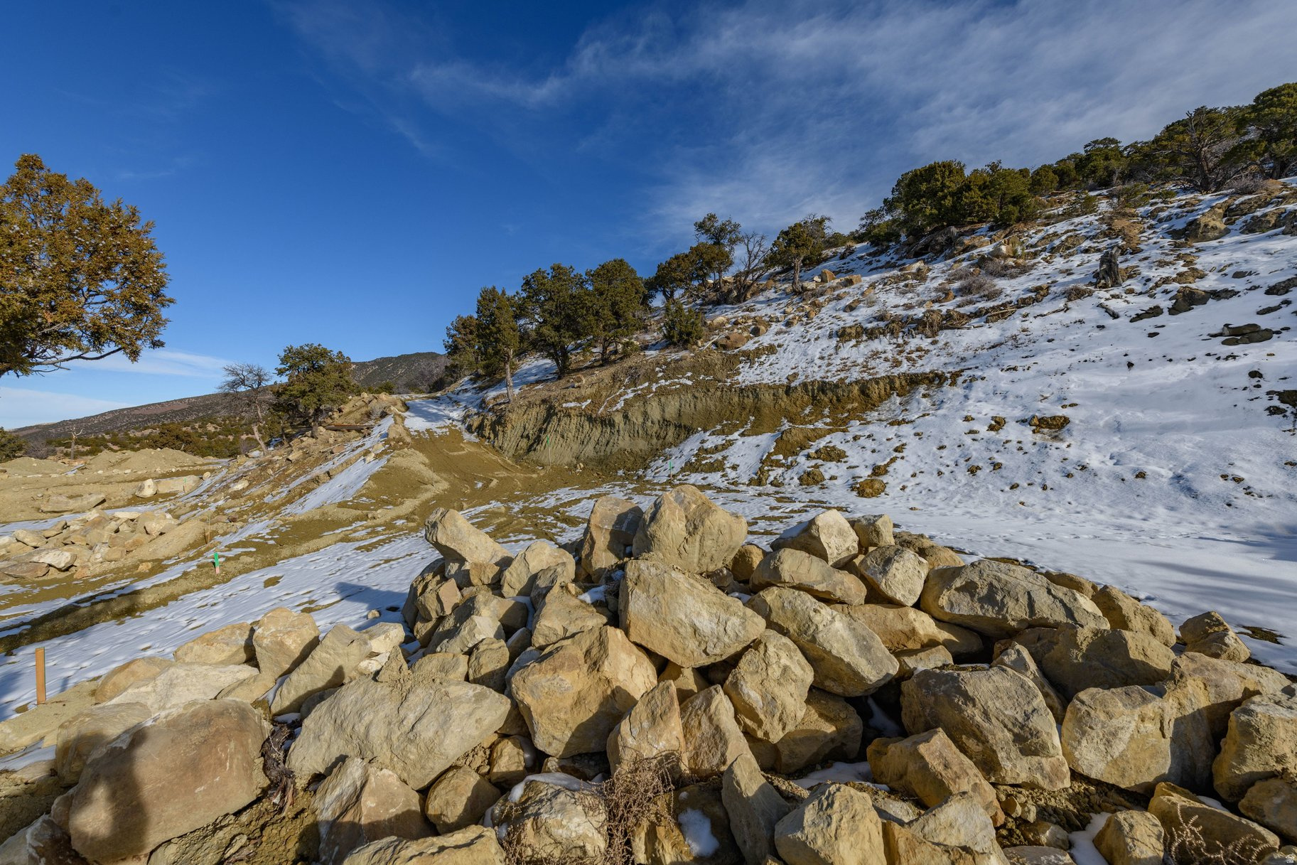 ASHDOWN FOREST PUD - Land