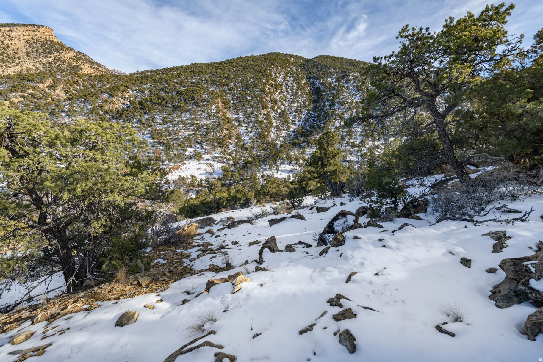 ASHDOWN FOREST PUD - Land