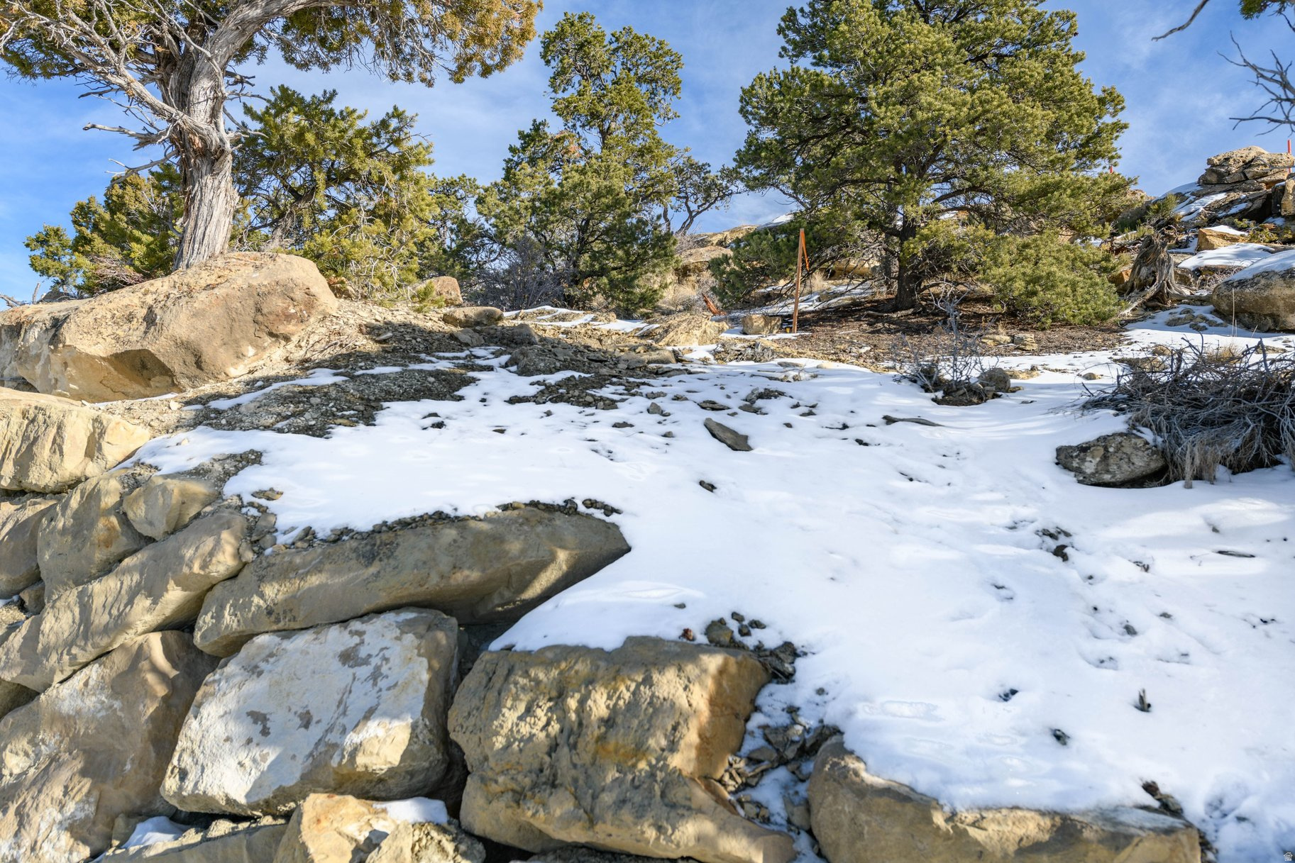 ASHDOWN FOREST PUD - Land