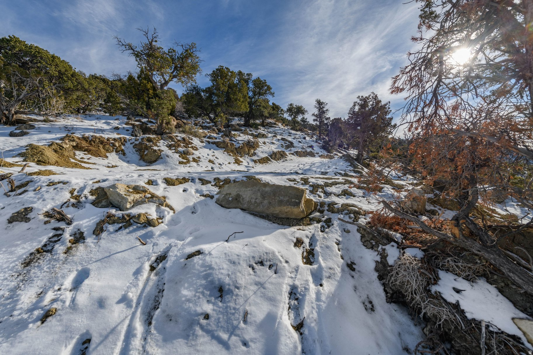 ASHDOWN FOREST PUD - Land