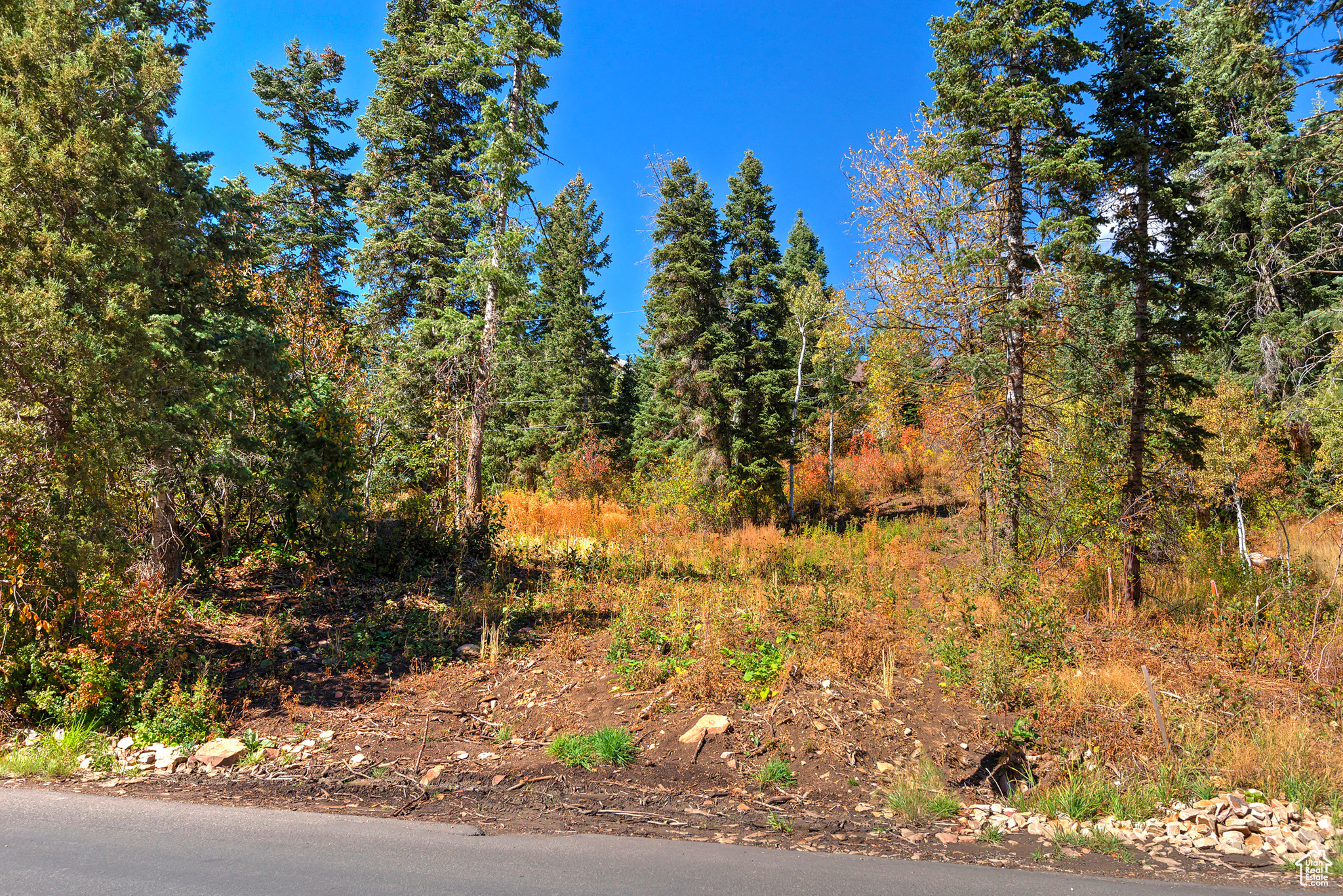 Ready to build? This south-facing lot in desirable Summit Park offers an exceptional opportunity. The building permit has already been submitted and approved. Just pay the permit fee and start construction! Over $27,500 in fees have already been paid, saving you time and money. The seller, a licensed architect, is available to assist with modifications if needed. Plans include detailed floor plans and elevations; everything you need to get started is ready to go.