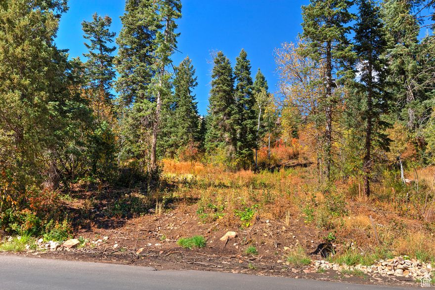 Ready to build? This south-facing lot in desirable Summit Park offers an exceptional opportunity. The building permit has already been submitted and approved. Just pay the permit fee and start construction! Over $27,500 in fees have already been paid, saving you time and money. The seller, a licensed architect, is available to assist with modifications if needed. Plans include detailed floor plans and elevations; everything you need to get started is ready to go.