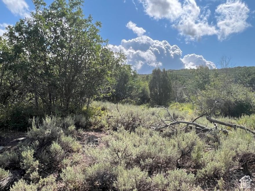 Reduced to Sell. Build your dream home here on this beautiful 1.15 wooded acre lot in Gated community of Timber Lakes! Close to downtown Heber with access to all ski resorts and wonderful restaurants. Deer Valley and Park City ski resorts are close by. Surrounded by beautiful homes. An outdoor paradise with fishing, hunting, bike trails, amazing golf courses and oh-the hiking!  HOA is approximately $1500/year. Visit www.timberlakesssd.com a Community Solutions group. 801-955-5126.  Buyer transfer set up fee of $250 and $100 Timber Lakes Water is buyers responsibility. Everyone uses propane in Timber Lakes.The community is Gated, so tell security gaurd you are here to show Lot 1355 and provide a business card.