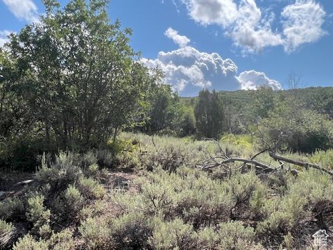 Vacant Land For Sale - 2325 Westview Dr #1355<br/> Heber City, UT 84032