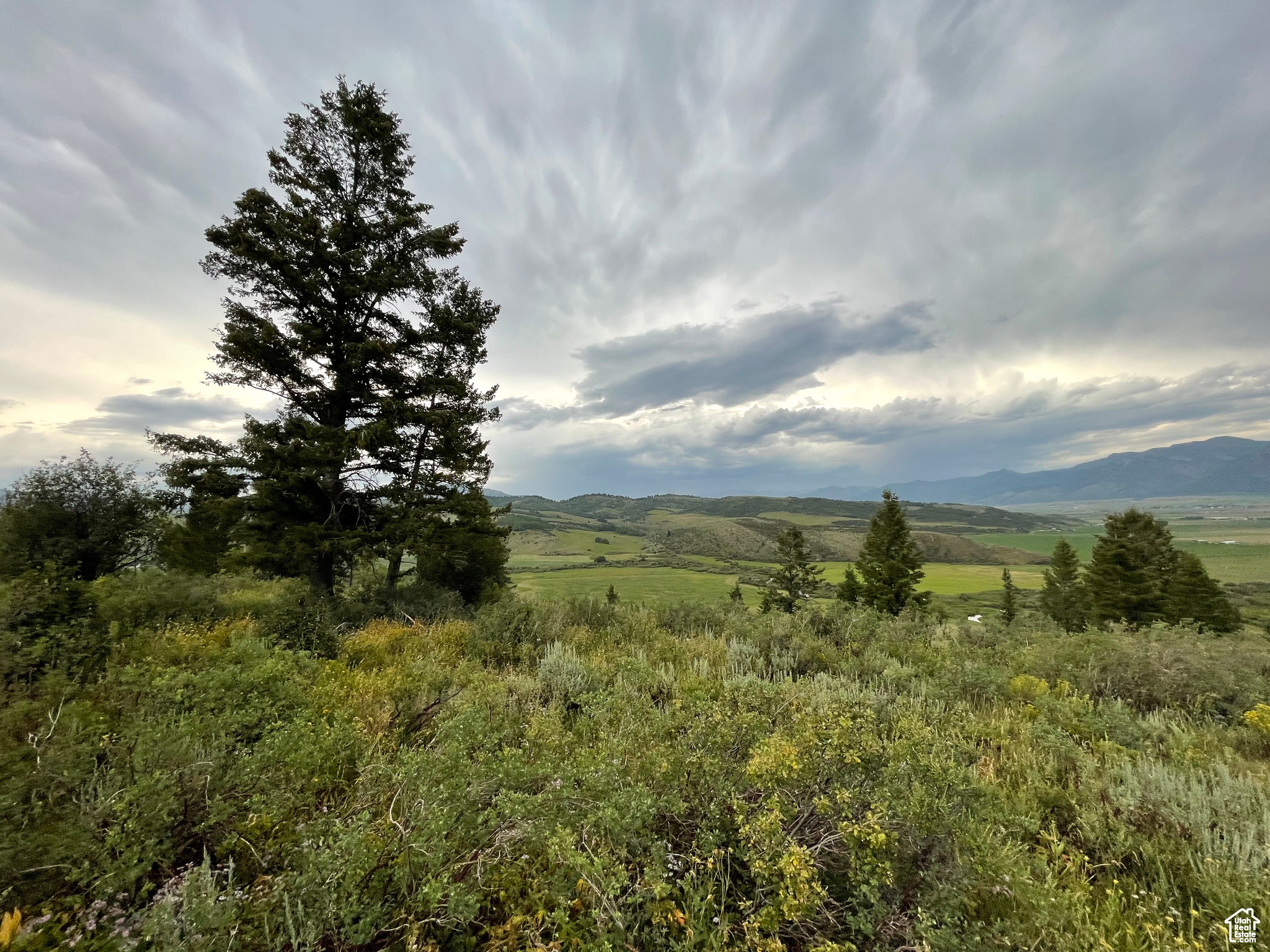 GROUSE CREEK RANCH - Land