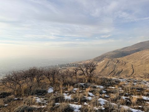 Tiny photo for Bountiful, UT 84010 (MLS # 2130714)