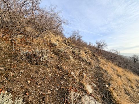 Tiny photo for Bountiful, UT 84010 (MLS # 2130714)