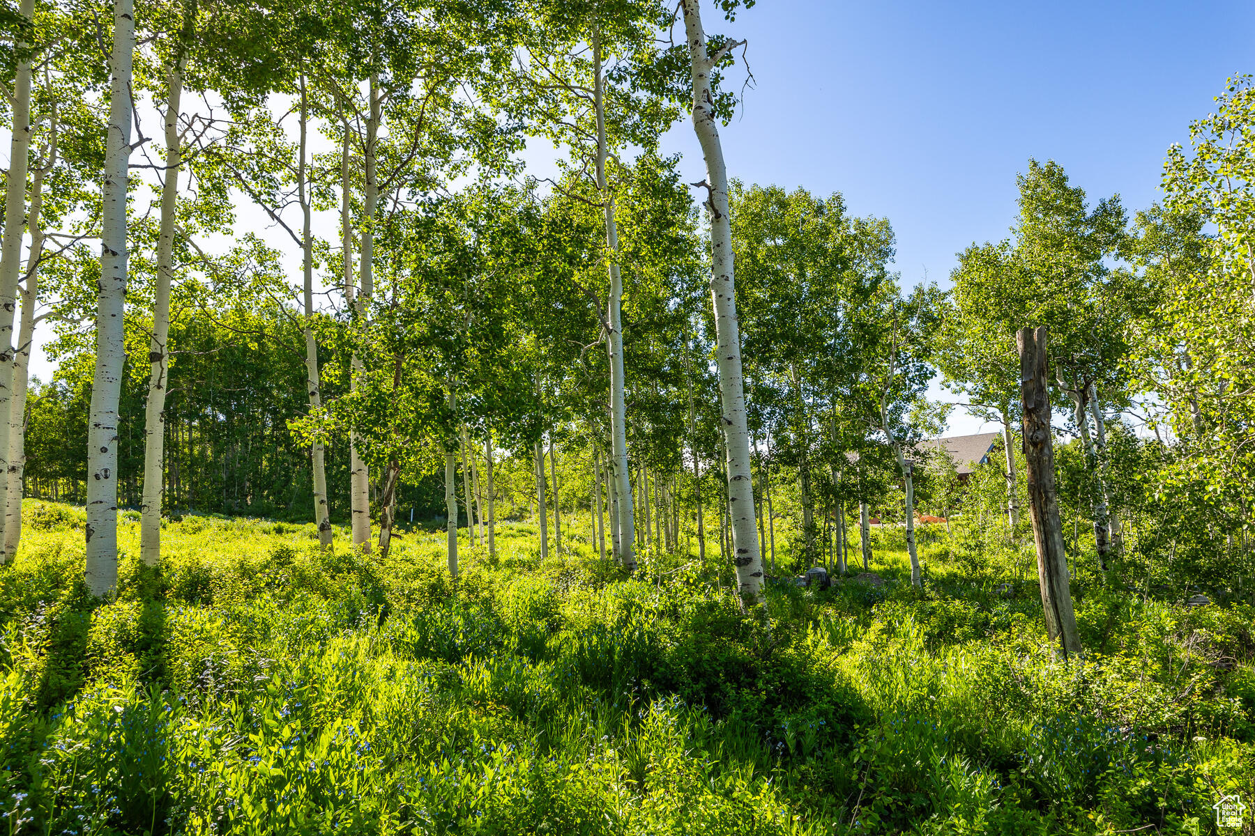 11616 E Cliffrose Dr #1836, Heber City, Utah image 9