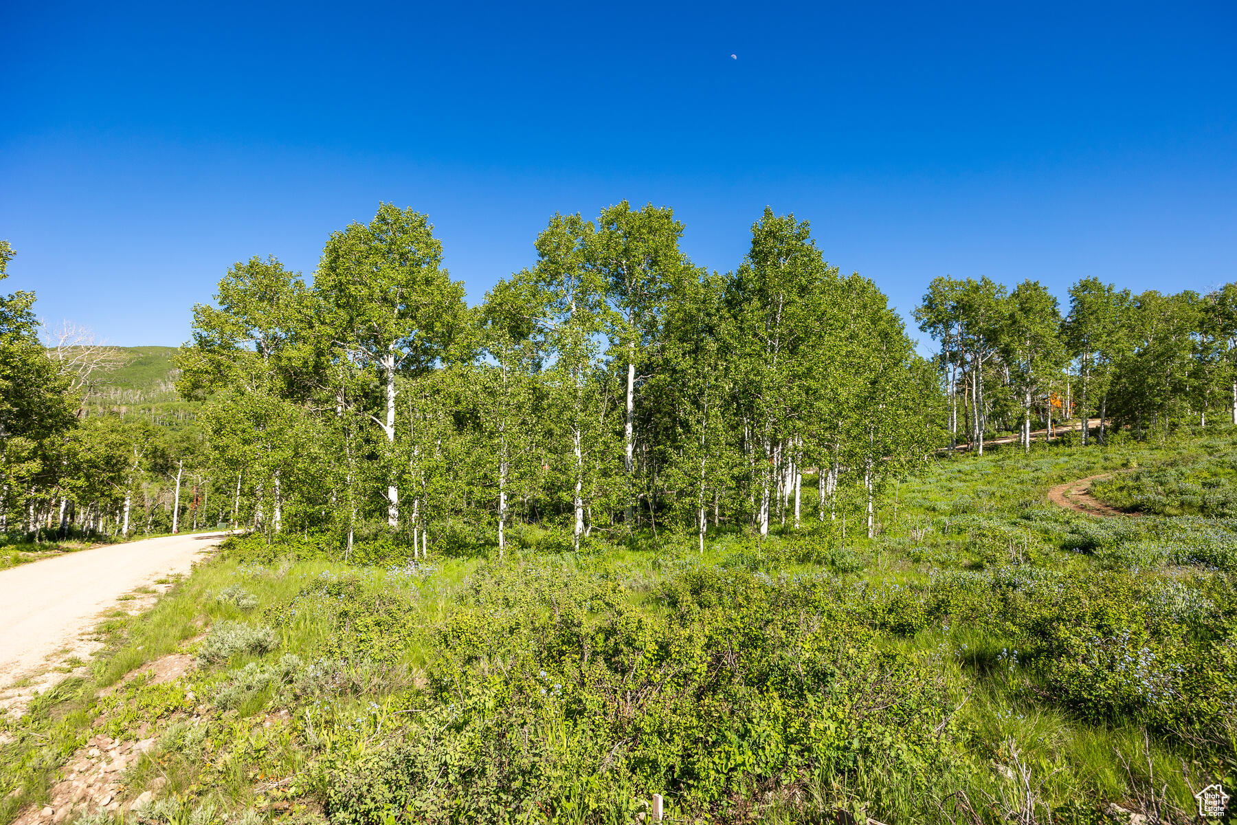 11616 E Cliffrose Dr #1836, Heber City, Utah image 3