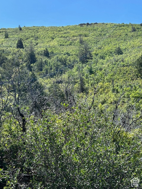 HIDEWAWAY VALLEY PLAT E - Land