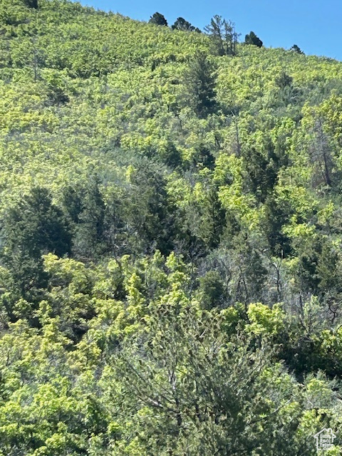 HIDEWAWAY VALLEY PLAT E - Land