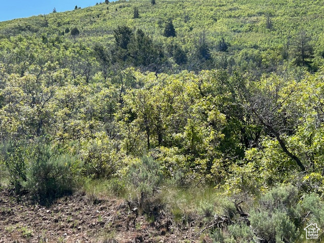 HIDEWAWAY VALLEY PLAT E - Land