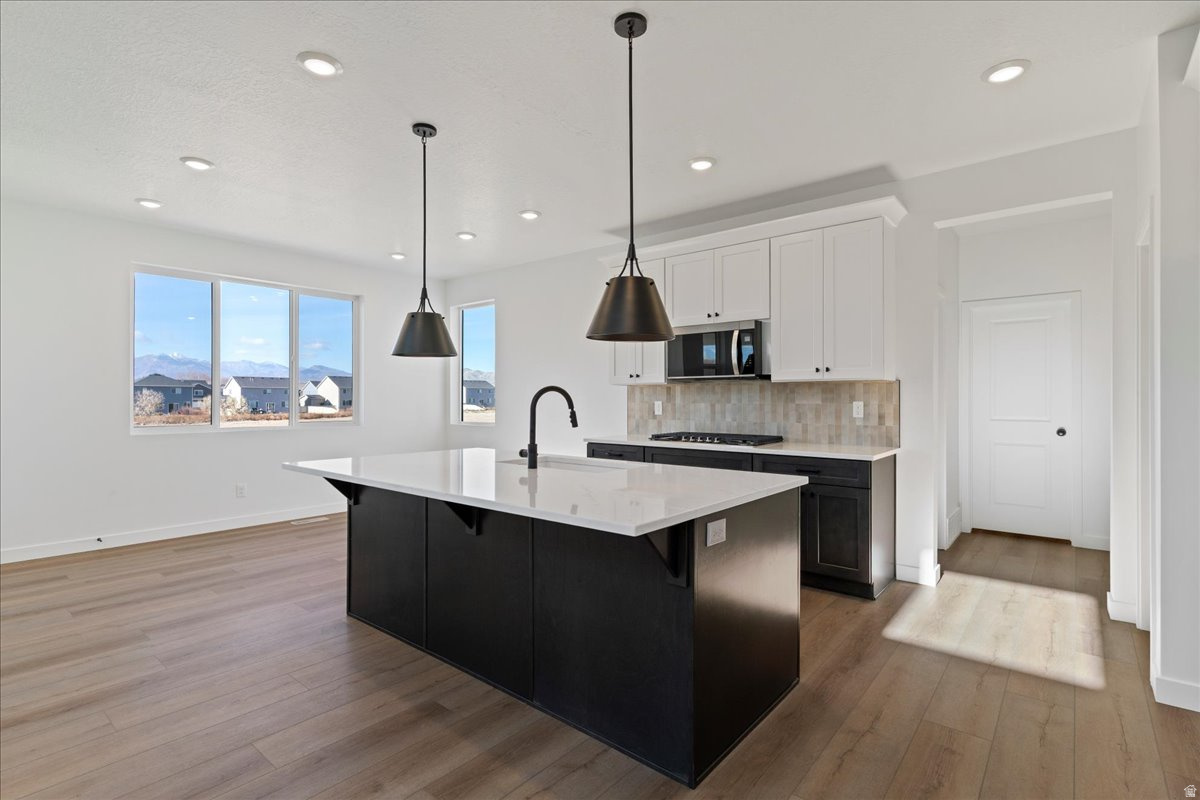 NORTH LAKE MEADOWS - Residential