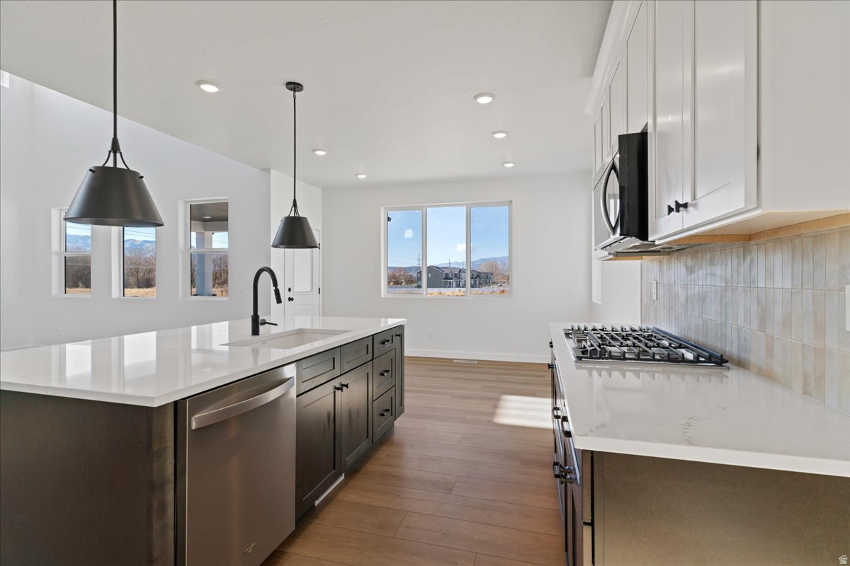 NORTH LAKE MEADOWS - Residential