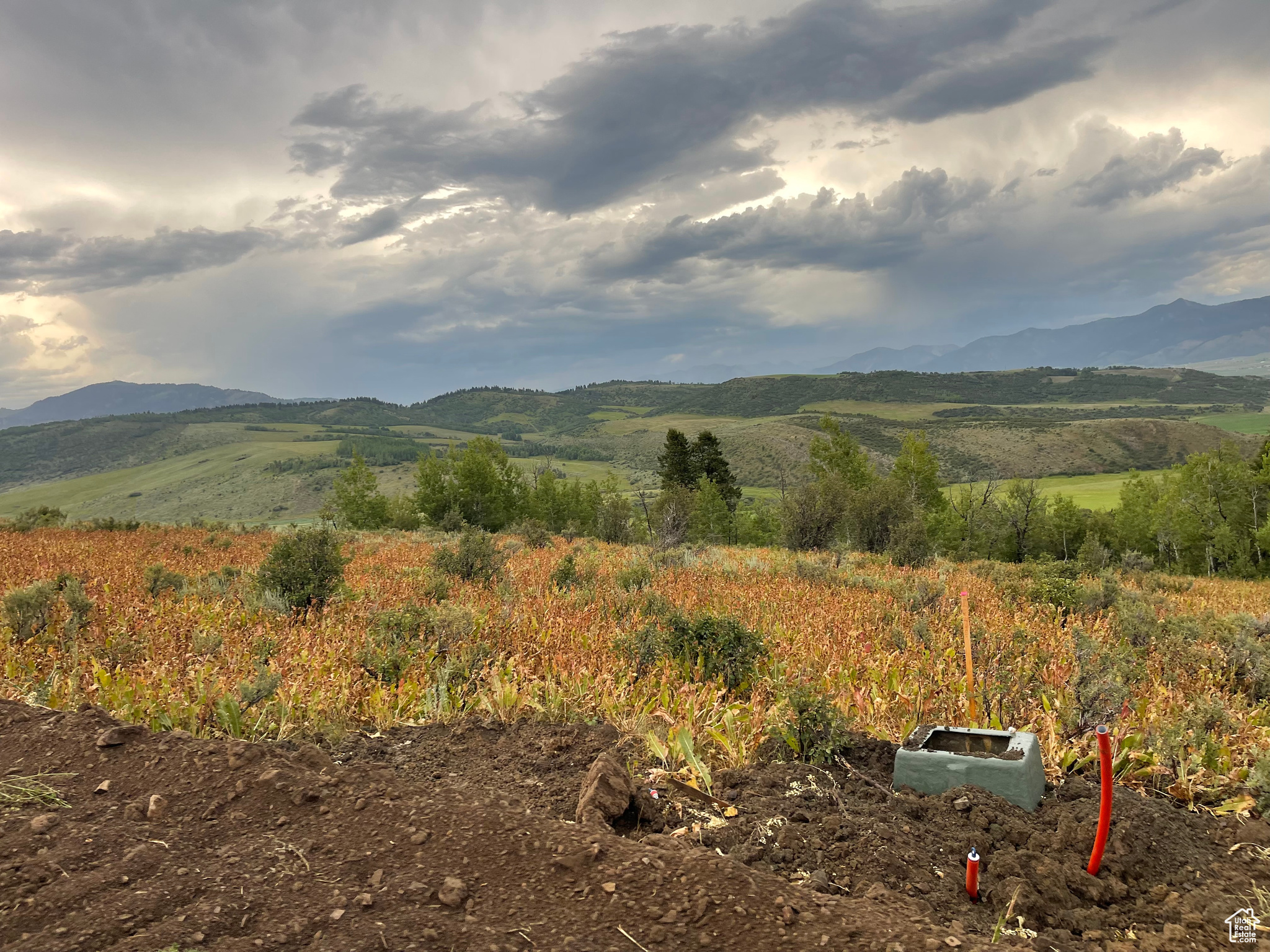 GROUSE CREEK RANCH - Land
