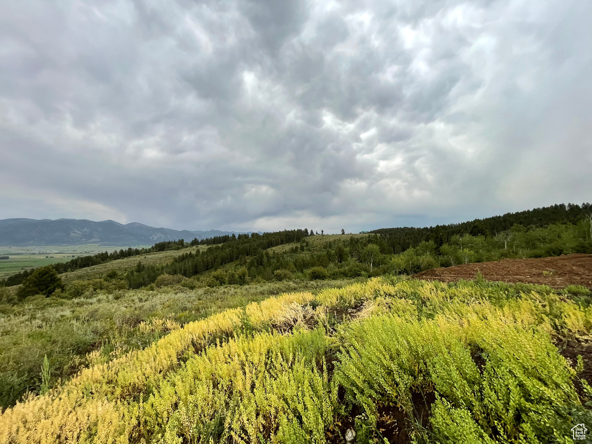 GROUSE CREEK RANCH - Land