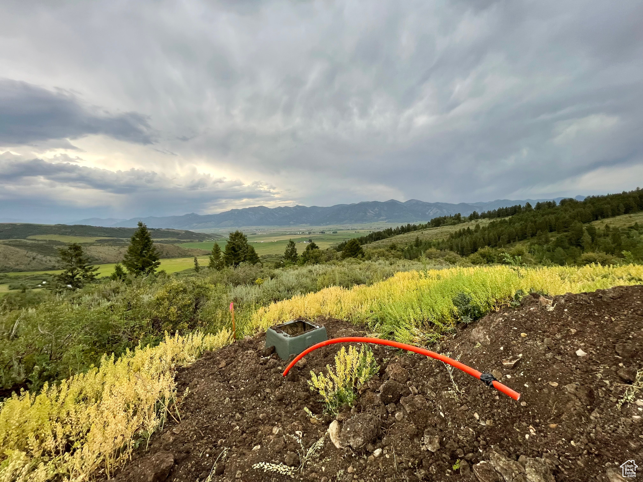 GROUSE CREEK RANCH - Land
