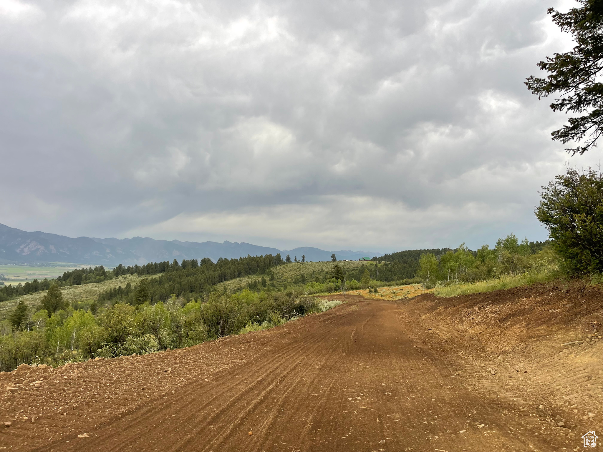 GROUSE CREEK RANCH - Land