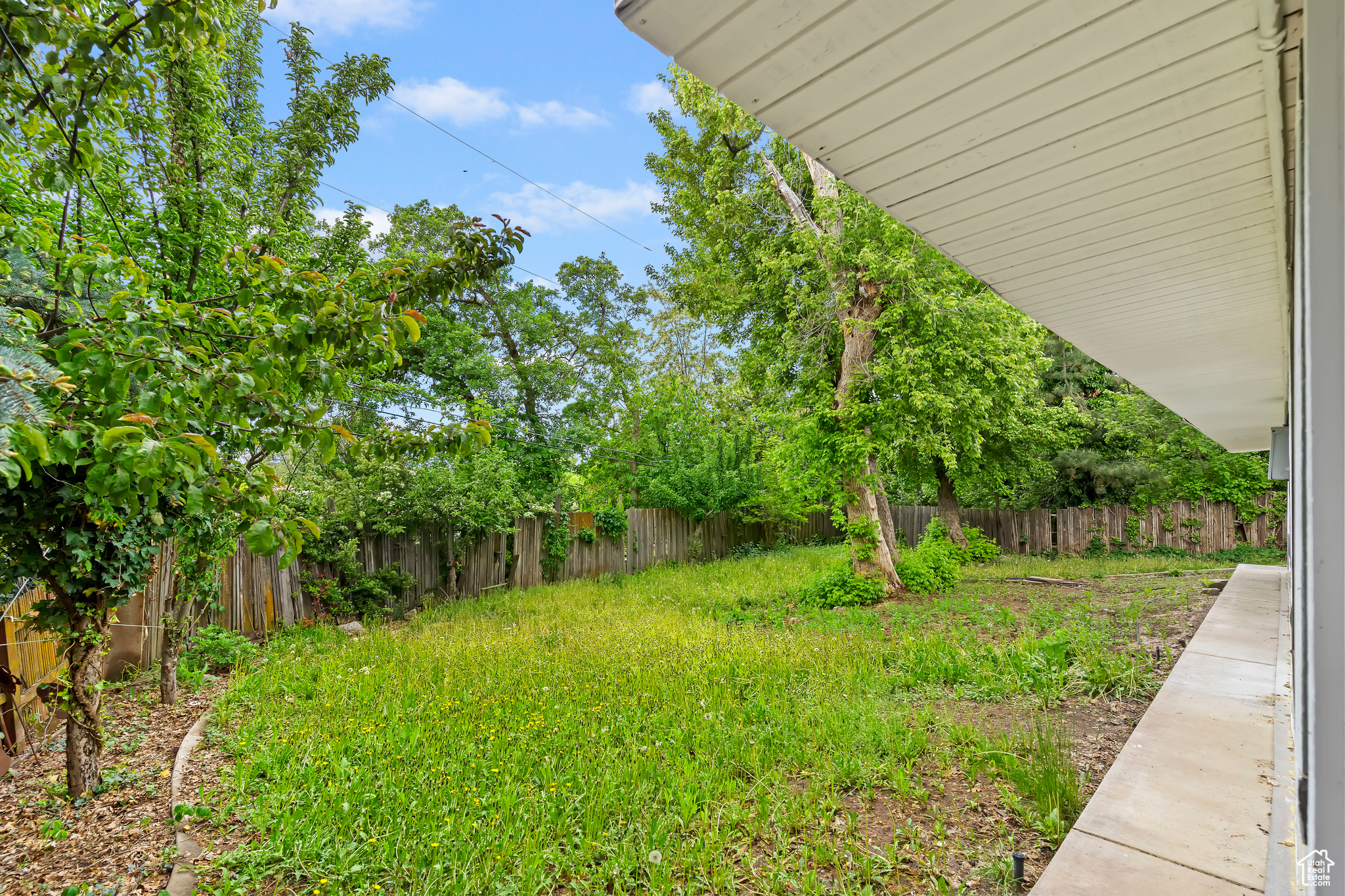 4203 S College Dr, Ogden, Utah image 8