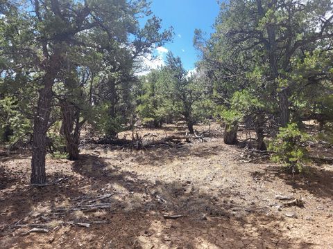 Vacant Land For Sale - #WP001<br/> Duchesne, UT 84021