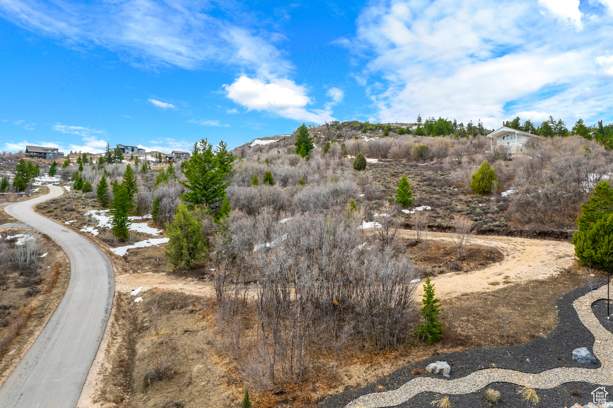 SHUNDAHAI EAGLE FEATHER - Land