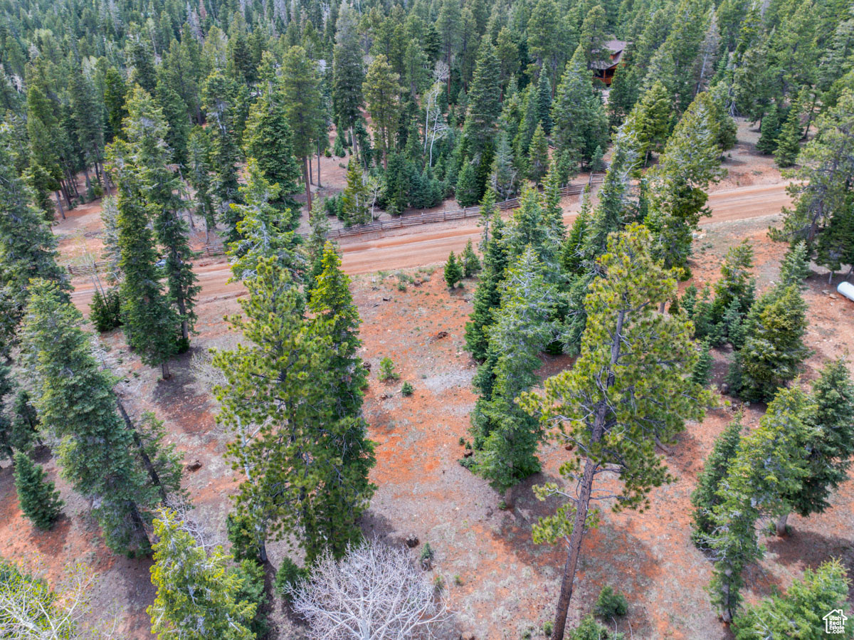 2970 N Smith & Wesson Cir #10, Duck Creek Village, Utah image 15