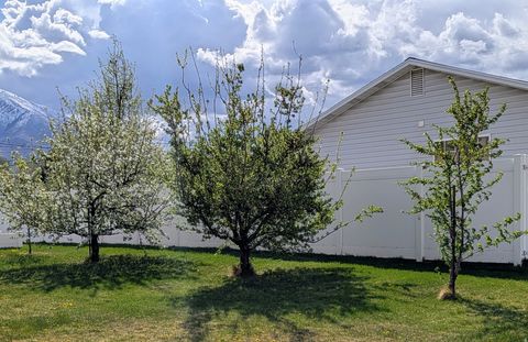 Tiny photo for 288 N 700 E, Spanish Fork, UT 84660 (MLS # 2147704)